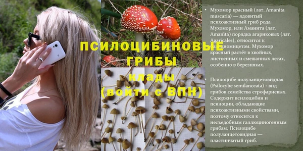 ПСИЛОЦИБИНОВЫЕ ГРИБЫ Пролетарск