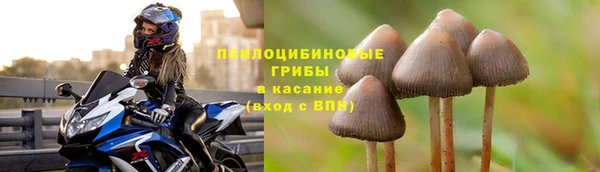 mdpv Баксан