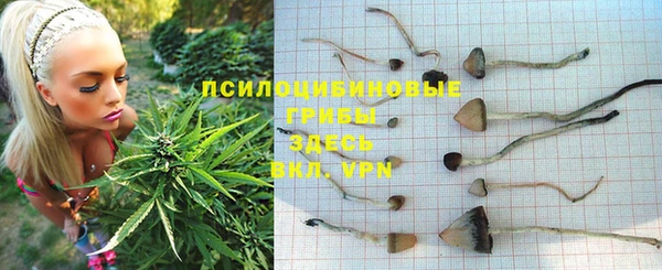 ПСИЛОЦИБИНОВЫЕ ГРИБЫ Пролетарск