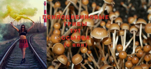a pvp Приозерск