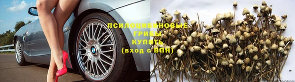 мяу мяу мука Протвино
