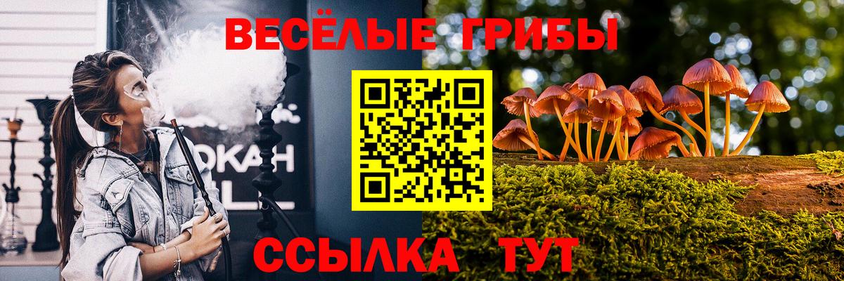 Галлюциногенные грибы Magic Shrooms Екатеринбург