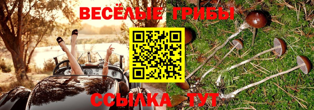 Галлюциногенные грибы Psilocybe  где купить наркоту  Екатеринбург 