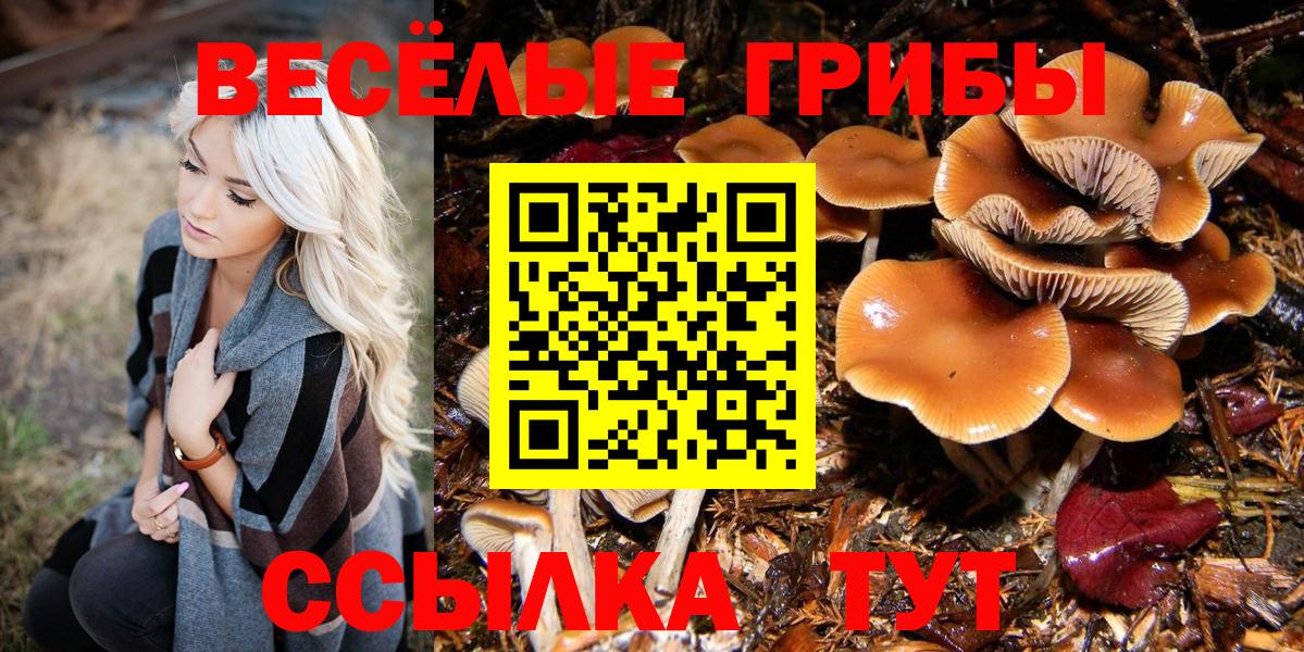 Cocaine  МЕТ  Меф   ГАШ  МАРИХУАНА  NBOMe  MDMA  LSD-25  Екатеринбург  Вход с VPN 